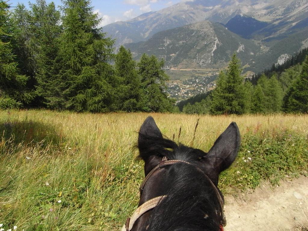 Gite Montagne Mercantour Villa Valdeblore Eksteriør bilde